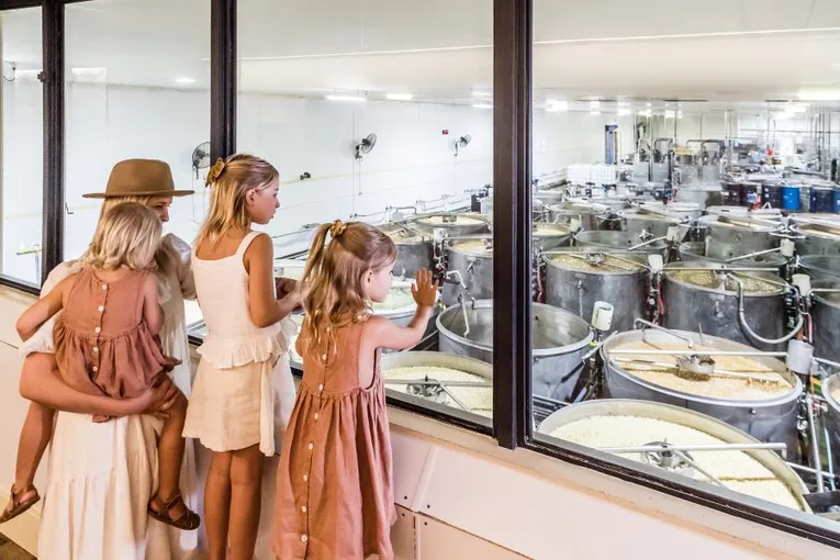 The Ginger Factory Play Taste & Discover Pass - Buy Now | Experience Oz