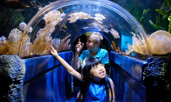SEA LIFE Melbourne Aquarium Entry Tickets