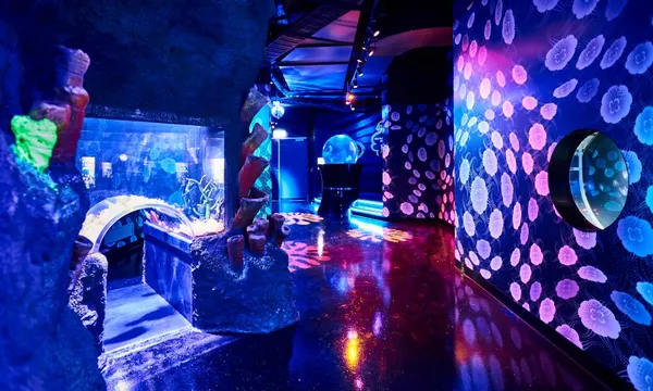 SEA LIFE Melbourne Aquarium Entry Tickets
