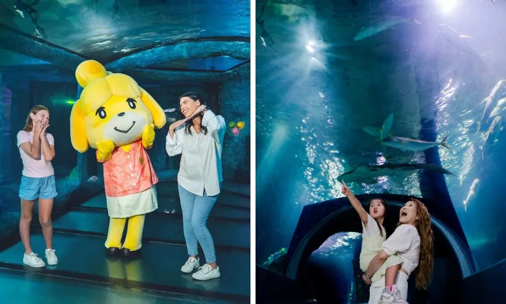 SEA LIFE Melbourne Aquarium Tickets | Experience Oz-1
