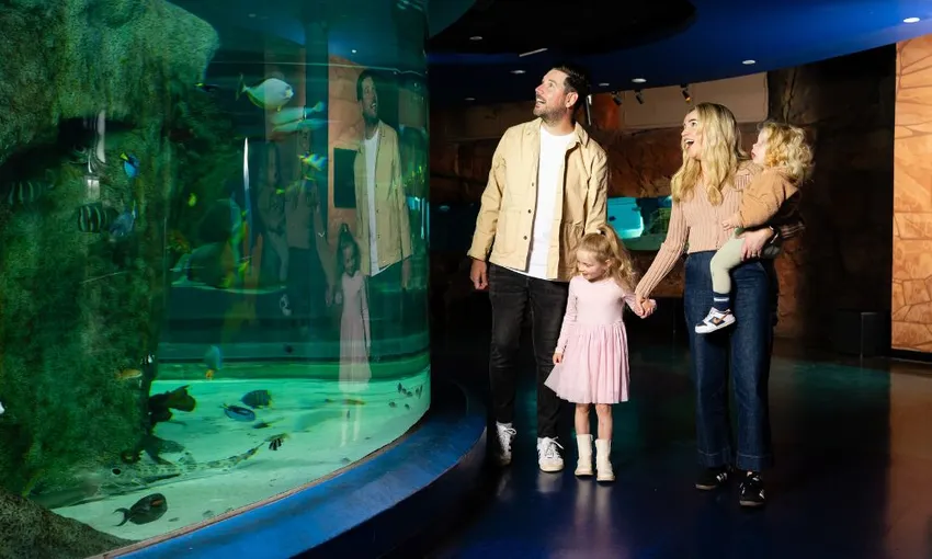 SEA LIFE Melbourne Aquarium Tickets | Experience Oz