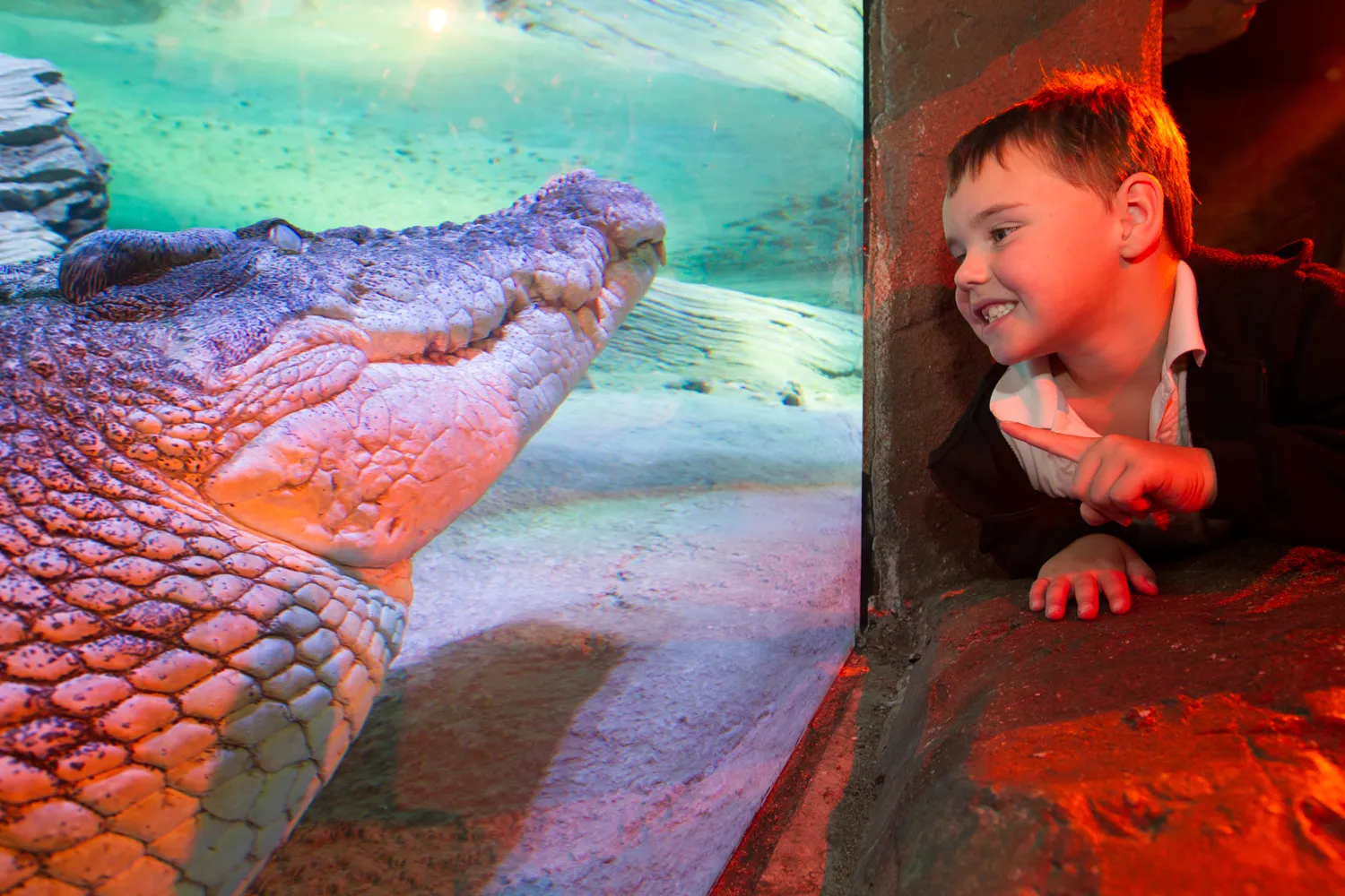 SEA LIFE Melbourne Aquarium Tickets | Experience Oz-8