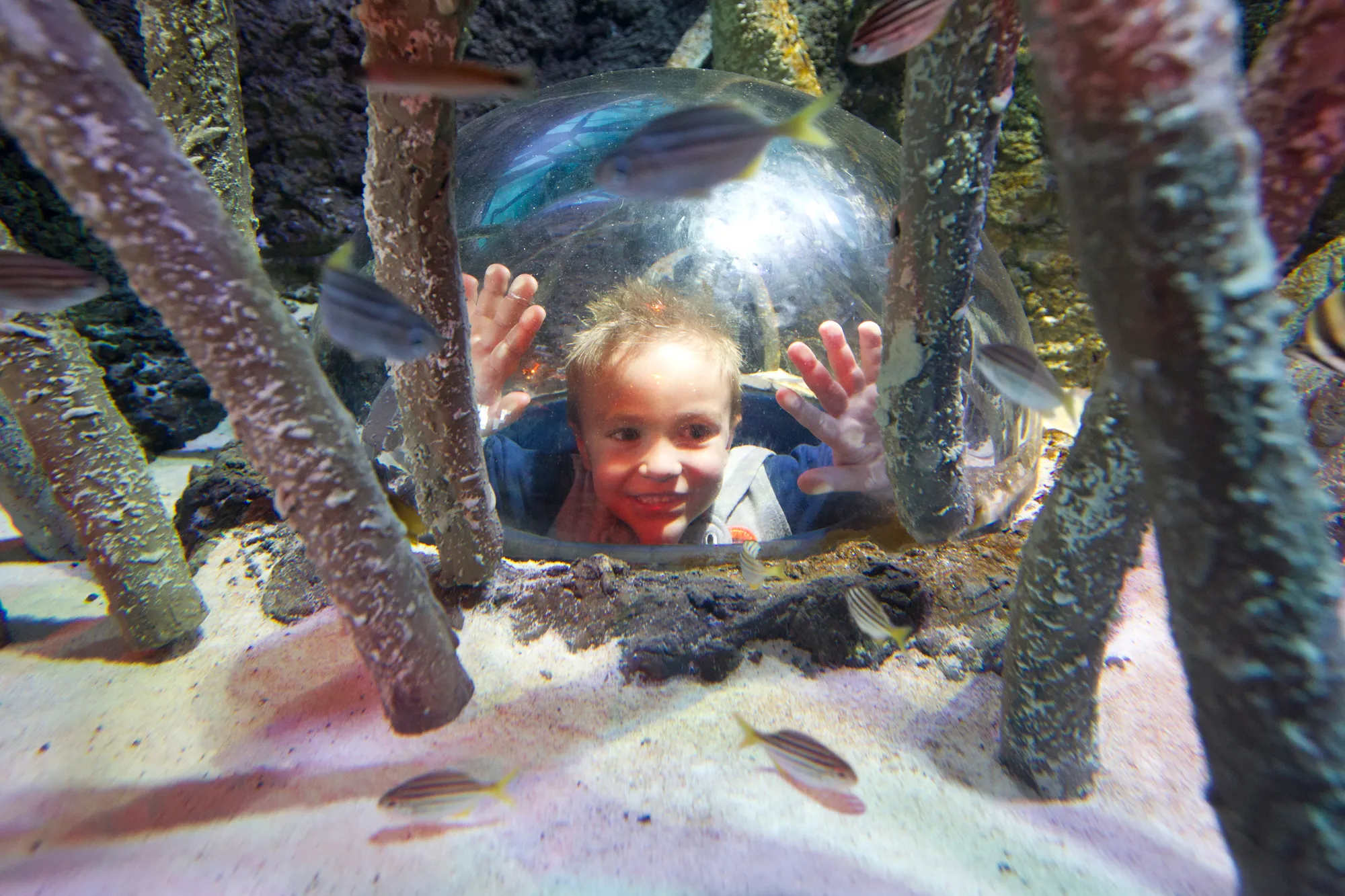SEA LIFE Melbourne Aquarium Tickets | Experience Oz-9