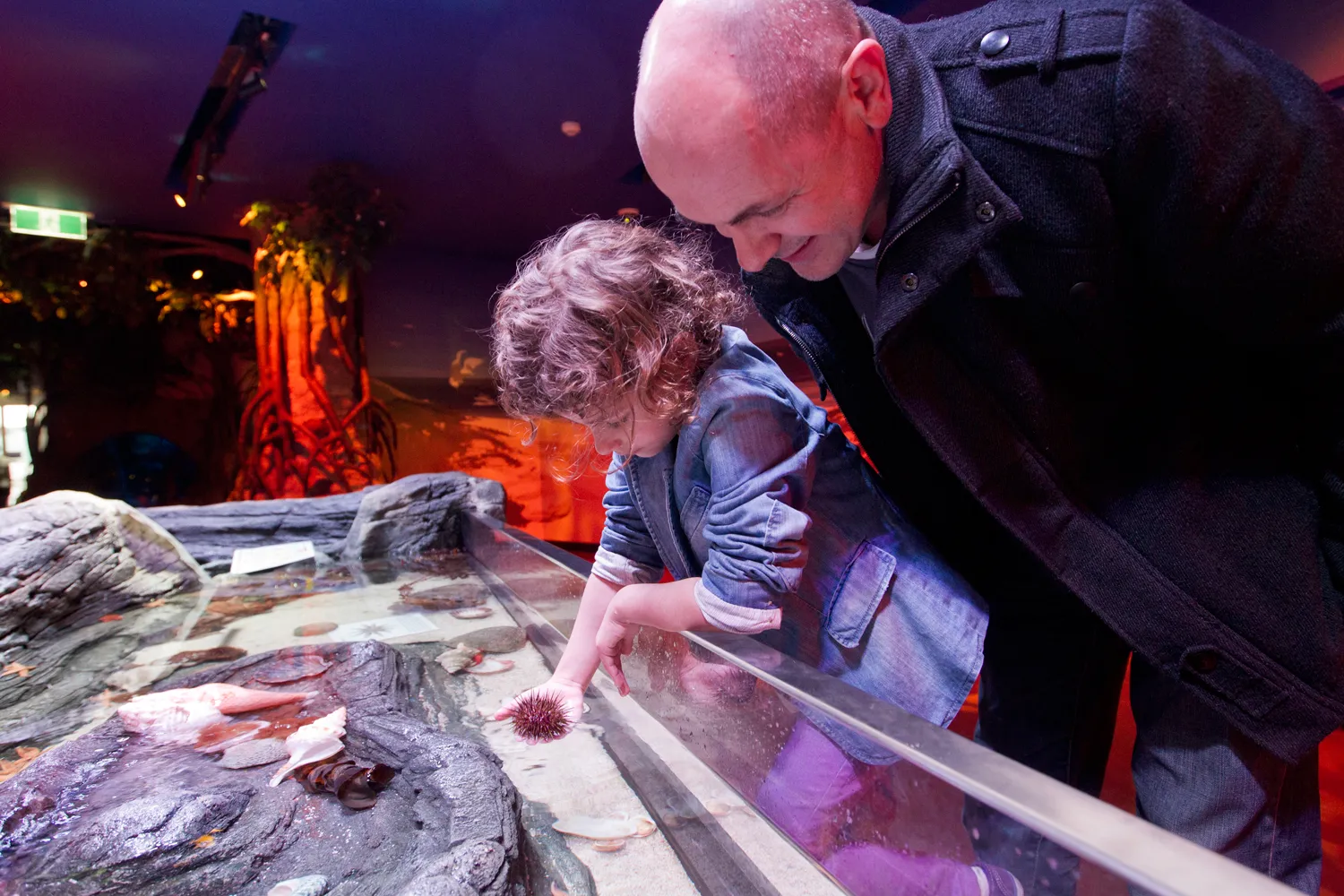 SEA LIFE Melbourne Aquarium Tickets | Experience Oz-11