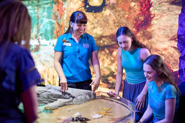 SEA LIFE Melbourne Aquarium Tickets | Experience Oz-16