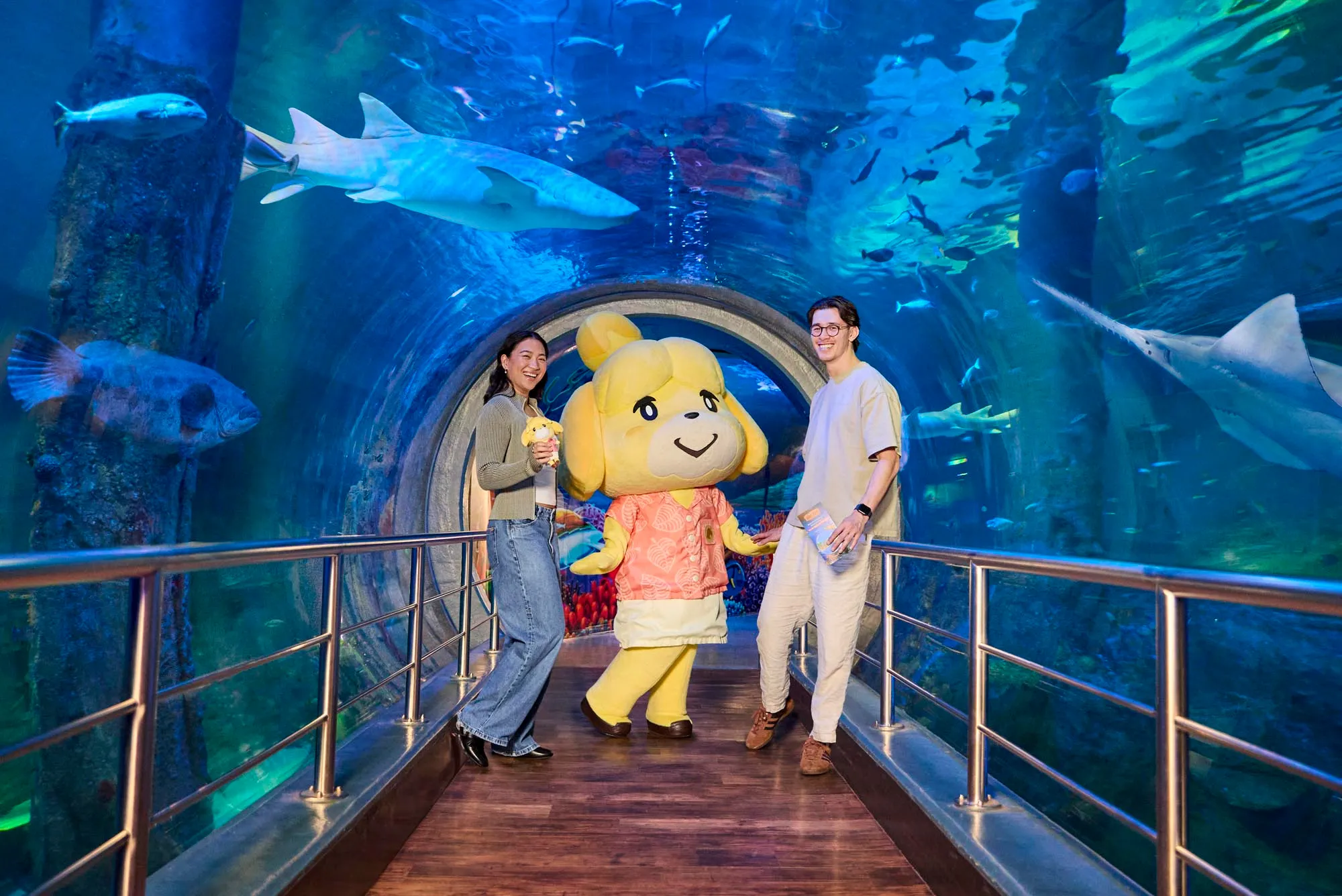 SEA LIFE Melbourne Aquarium Tickets | Experience Oz-20