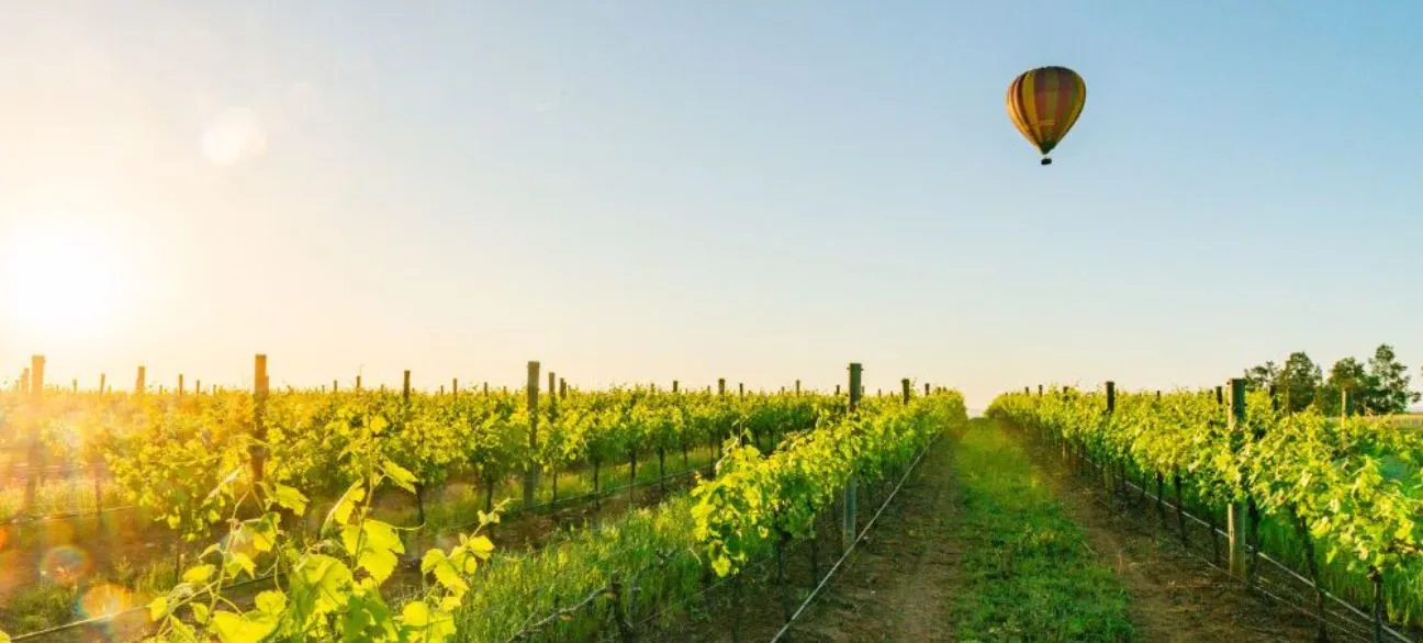 Hot air balloon flying over vineyards in the Hunter Valley NSW