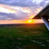 Flying