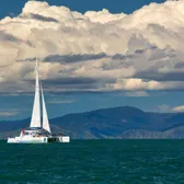 Cruises