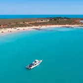 Cruises