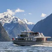 Cruises
