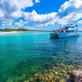 Cruises