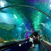 Zoos & Aquariums