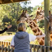 Zoos & Aquariums