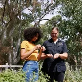 Aboriginal Experiences