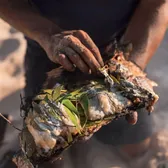 Aboriginal Experiences