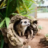 Zoos & Aquariums