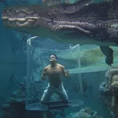 Zoos & Aquariums