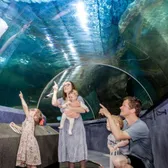 Zoos & Aquariums