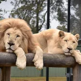 Zoos & Aquariums