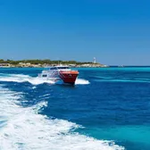 Cruises