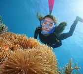 Reef & Island Cruises