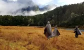 TV & Movie Tours