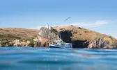 Boat Tours
