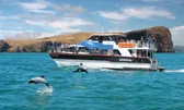 Boat Tours