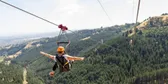 Adrenaline