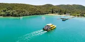 Boat Tours