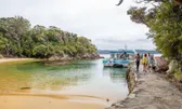 Boat Tours