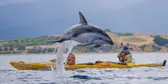 Water Activities