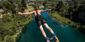 Adrenaline
