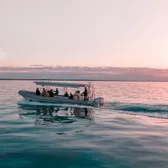 Cruises