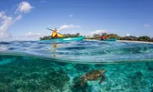 Reef & Island Cruises