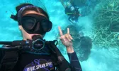 Reef & Island Cruises