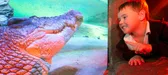 Things to do with Kids
