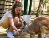 Things to do with Kids
