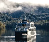 Cruises