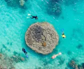 Great Barrier Reef Tours