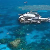 Great Barrier Reef Tours