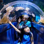 Zoos & Aquariums