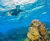 Great Barrier Reef Tours