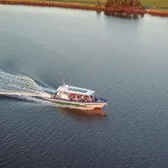 Cruises