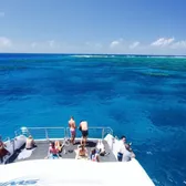 Cruises