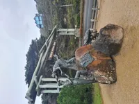 Review image 2