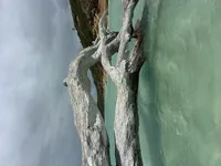 Review image 2
