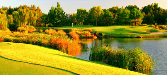 Thumbnail for gallery