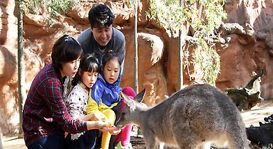 WILD LIFE Sydney Zoo Tickets